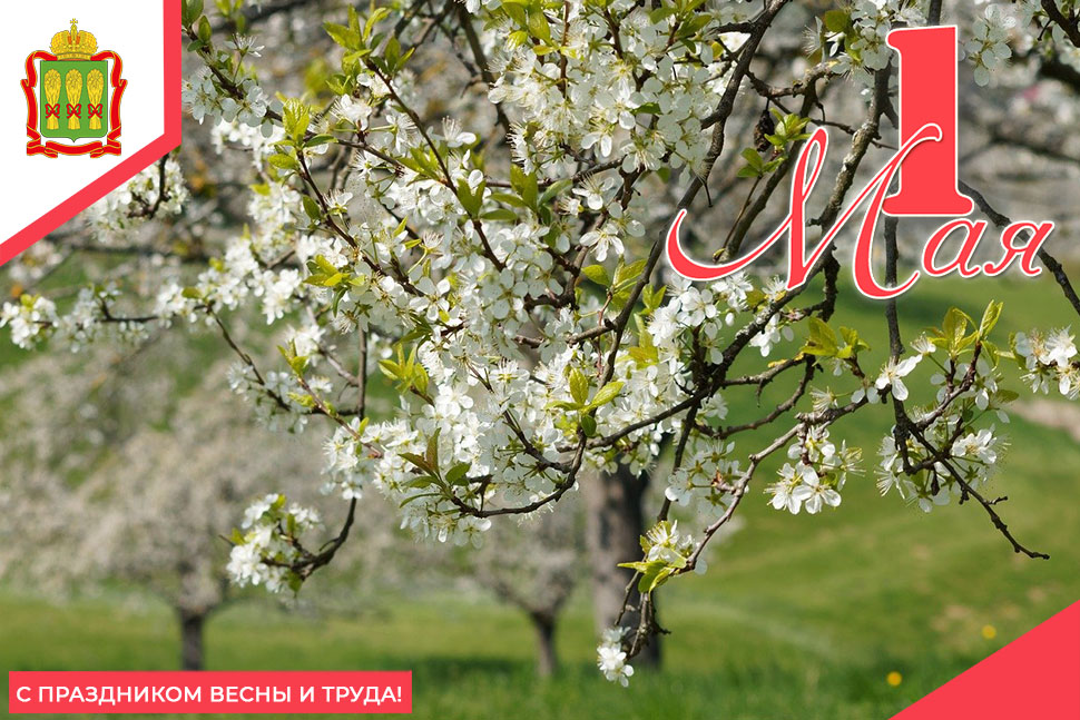 С праздником весны и труда! С праздником весны и труда!