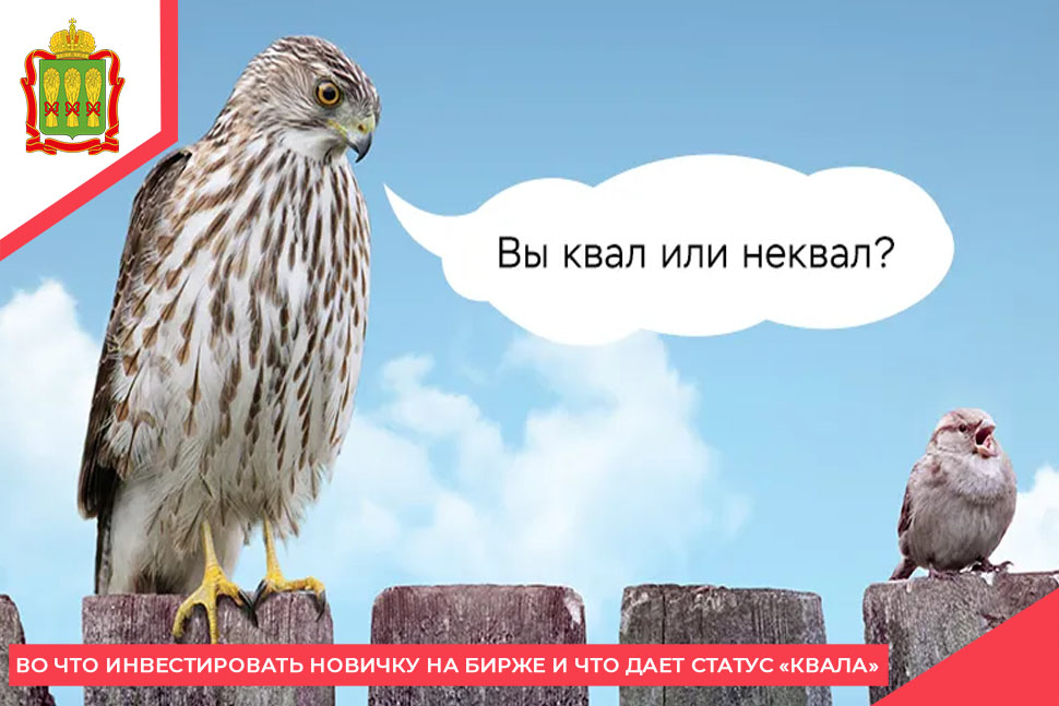 Во что инвестировать новичку на бирже и что дает статус «Квала»