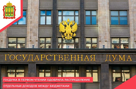 Госдума в первом чтении одобрила распределение отдельных доходов между бюджетами 