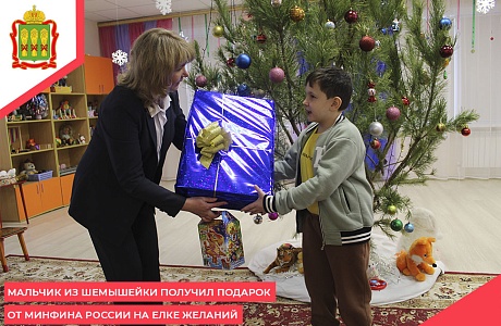 Мальчик из Шемышейки получил подарок от Минфина России на Елке желаний
