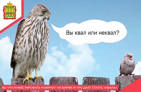 Во что инвестировать новичку на бирже и что дает статус «Квала»