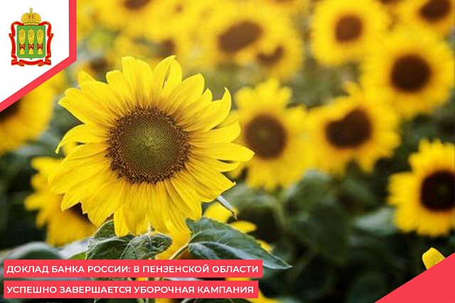 Доклад Банка России: В Пензенской области успешно завершается уборочная кампания