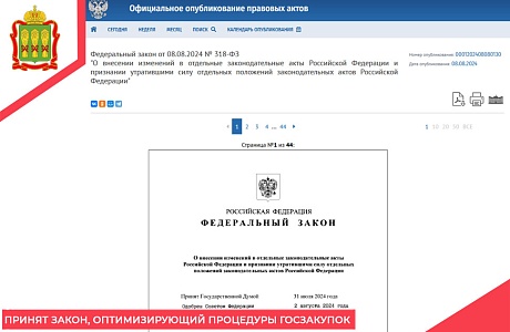 Принят закон, оптимизирующий процедуры госзакупок